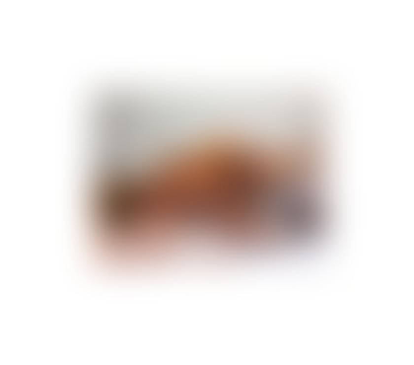 Trans Escorts Bristol Bristol City Centre - Bristol - Photos for 🇧🇷TS BLACK BRAZILIAN 🇧🇷