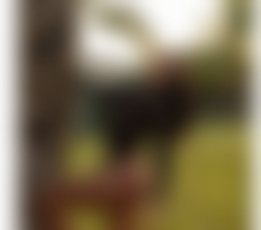 Escorts West Midlands Birmingham - Photos for 🇧🇷 CHLOE SEXY BRAZILIAN 🔥❤️