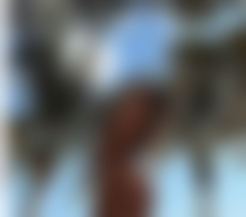 Escorts Aberdeen Aberdeen City Centre - Aberdeen - Photos for 🇧🇷 honey🍯hot 🍯