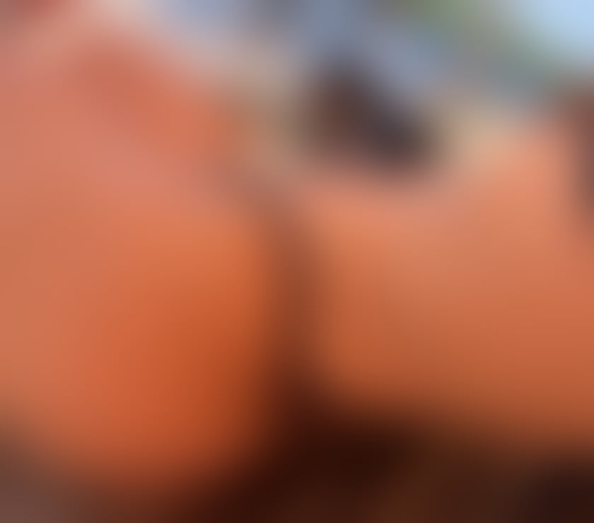 Escorts County of Herefordshire Hereford - County of Herefordshire - Photos for Bella BRAZILIAN 🔥