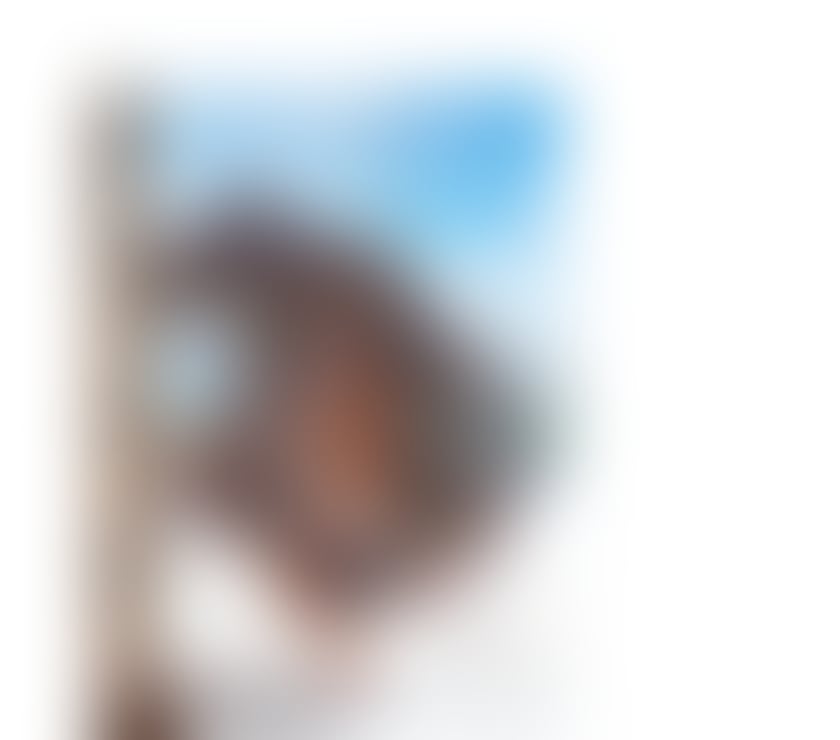 Trans Escorts Gloucestershire Cheltenham - Photos for 🔥 NEW 😈 LEXA 🔥 BRAZILIAN TS GIRL 😈