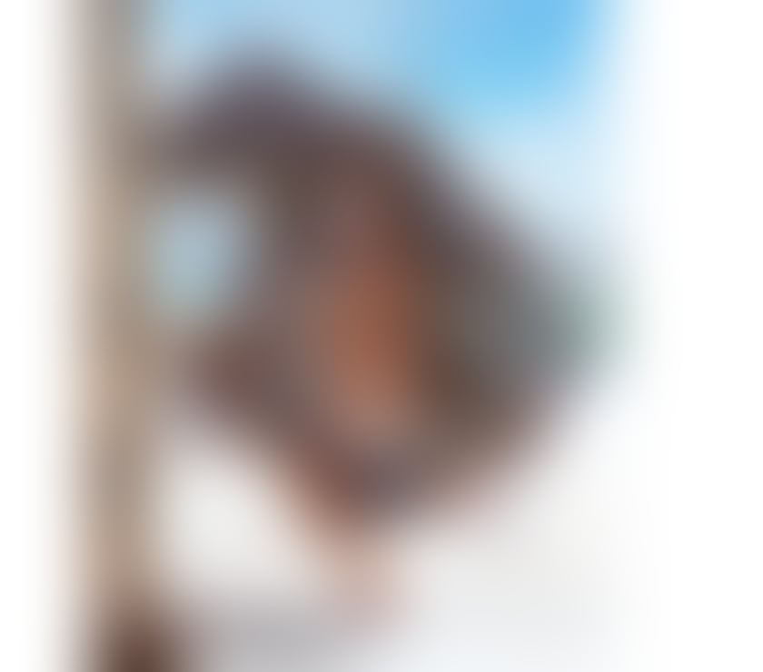 Trans Escorts Somerset Taunton - Somerset - Photos for 🔥 NEW 😈 LEXA 🔥 BRAZILIAN TS GIRL 😈