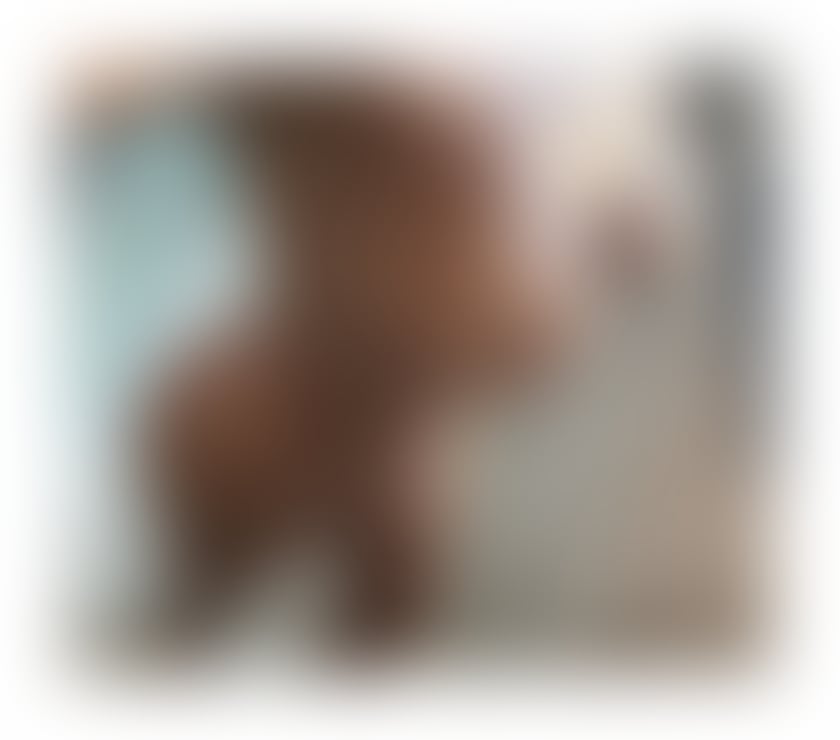 Escorts West London North Acton Station - West London - Photos for Bia ✨PARTY 🎉🥂