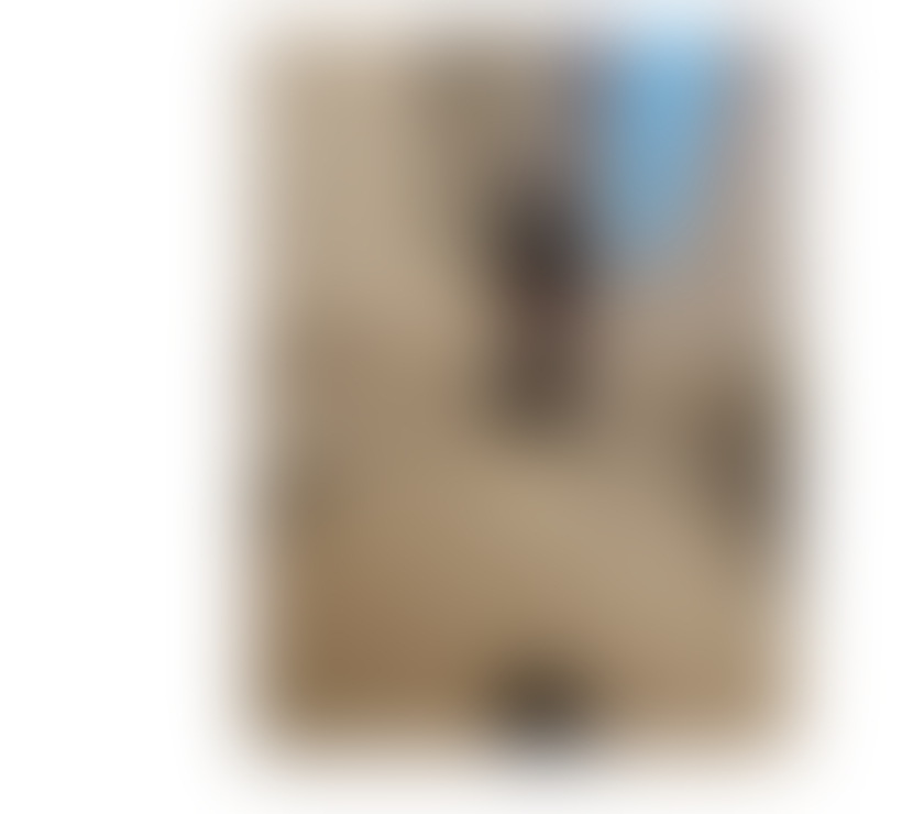 Escorts Cambridgeshire Cambridge - Photos for NEW POLISH❤️50£30min‼️ good price‼️a few days