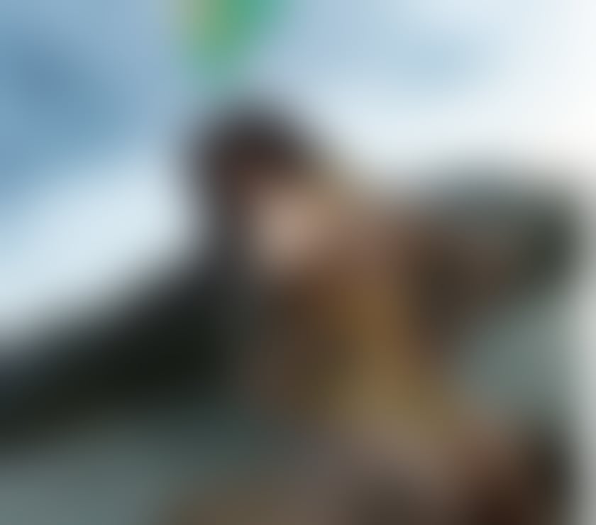 Escorts South Yorkshire Sheffield - Photos for Alice Brazilian