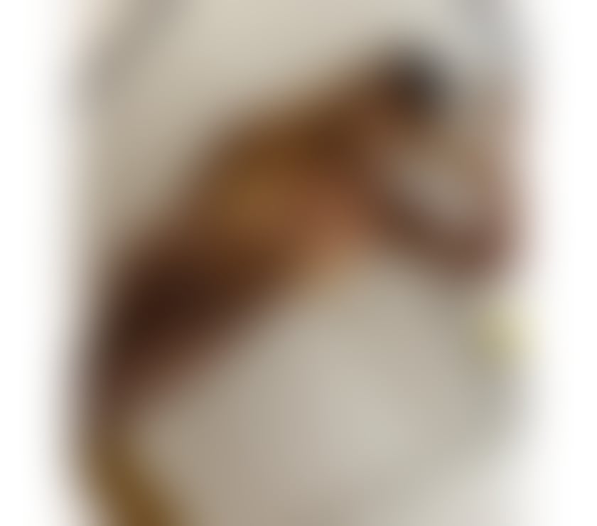 Trans Escorts Merseyside Liverpool - Photos for Ts yara brasilian hot brasilian 🔥🔥