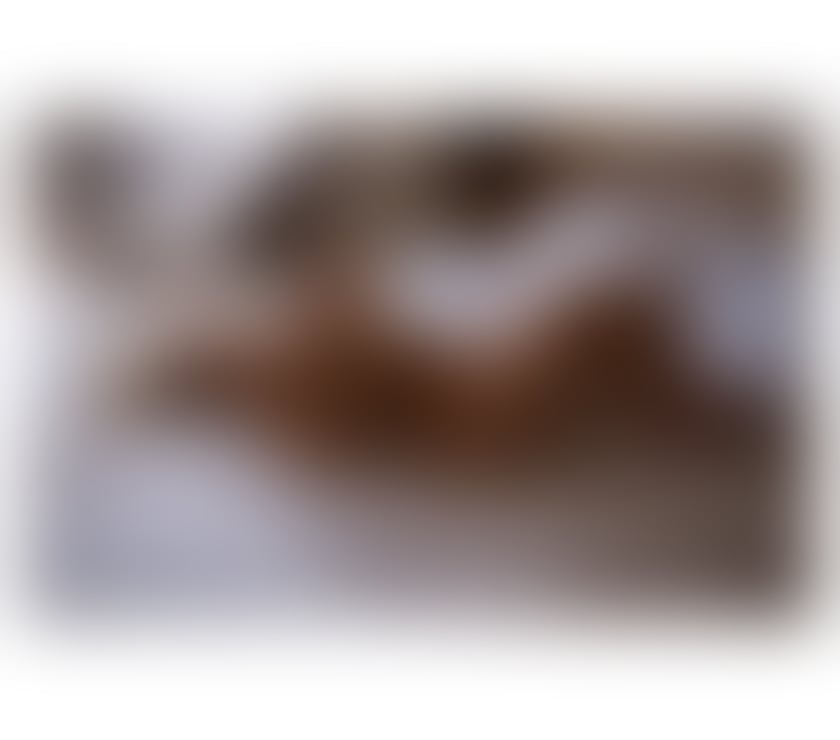 Escorts West London North Acton Station - West London - Photos for Mel 🍯 let’s Go ✨PARTY 🎉🥂