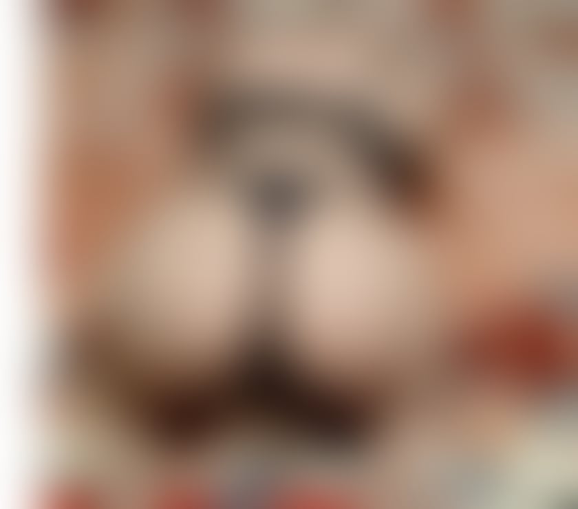 Escorts and Massages Bradford City Centre Bradford - Photos for Erika new here full services only outcall