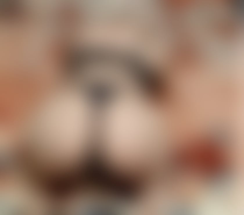 Escorts West Yorkshire Bradford - Photos for Erika new here full services only outcall