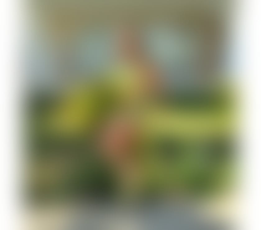 Escorts Gloucestershire Cheltenham - Photos for Lola Latin spicy girl👅🔞🫦