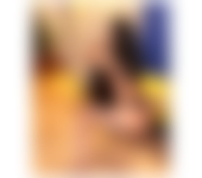 Escorts Leicestershire Leicester - Photos for Party Girl💋💯No rush😘Paulina