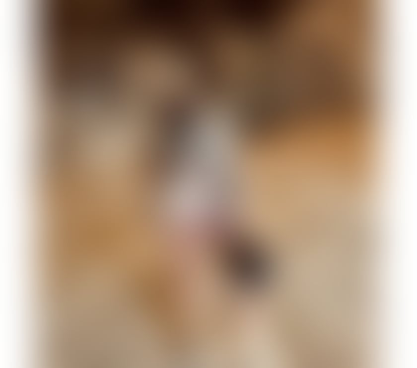  Escorts Piccadilly Manchester - Photos for ❤️ELLA 🎊 PARTY GIRL🎊 OUTCALL ONLY MANCHESTER