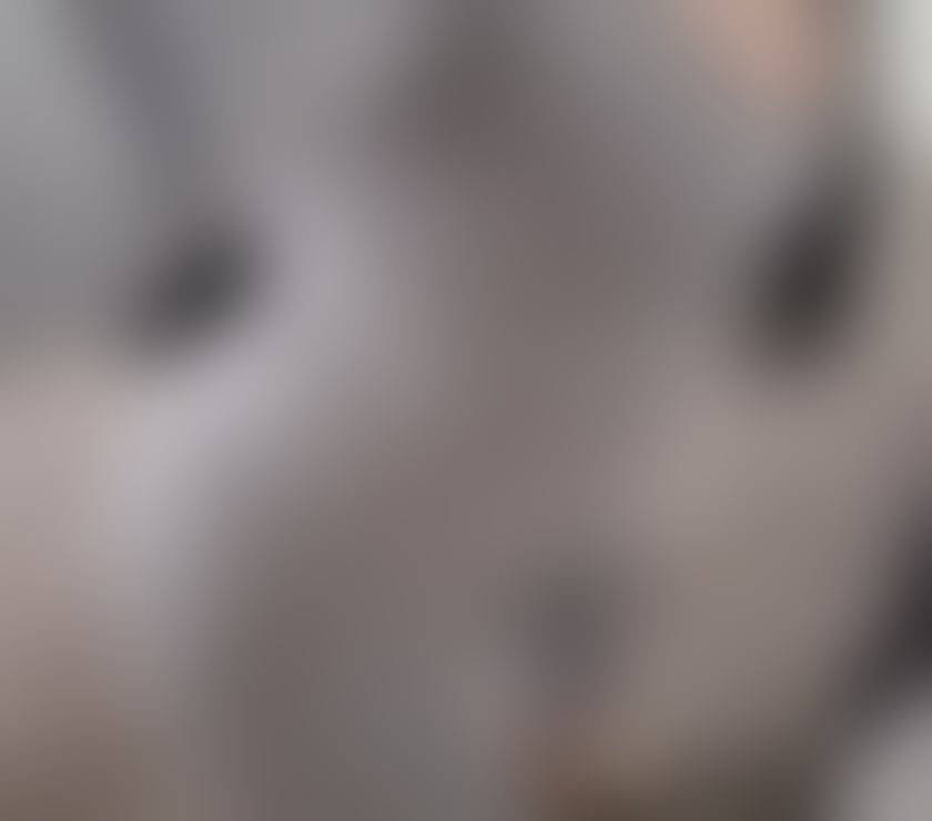 Escorts Cornwall Leedstown - Cornwall - Photos for Hello, I'm new to your area, my name is Rosse. I'm a calm an