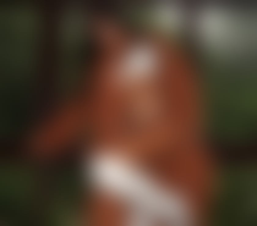 Escorts Hull Hull City Centre - Hull - Photos for LUIZA 🆕 IN THE CITY 🔥😈