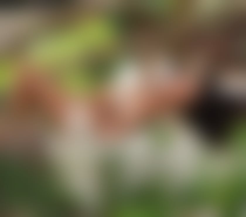 Trans Escorts East Sussex Eastbourne - Photos for NEW BRAZILIAN TS IN TONW 9.0 INCHES 🔥🍆