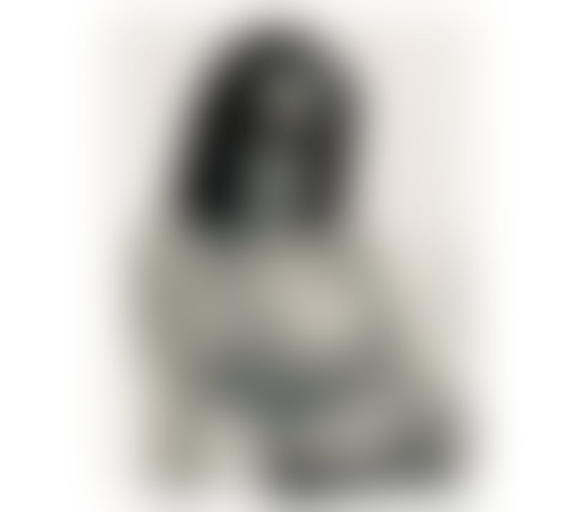 Escorts Lancashire Blackpool - Photos for Sexy and very horny asian girl new in town