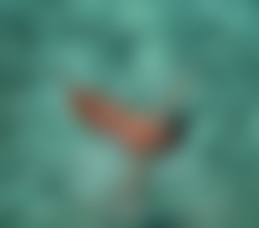 Escorts Glasgow Glasgow City Centre - Glasgow - Photos for THE BEST GFE BRAZILIAN 😈🔥💋