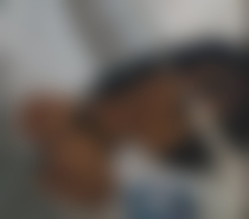 Escorts Boston West Boston - Photos for 😘New girl in your town😘