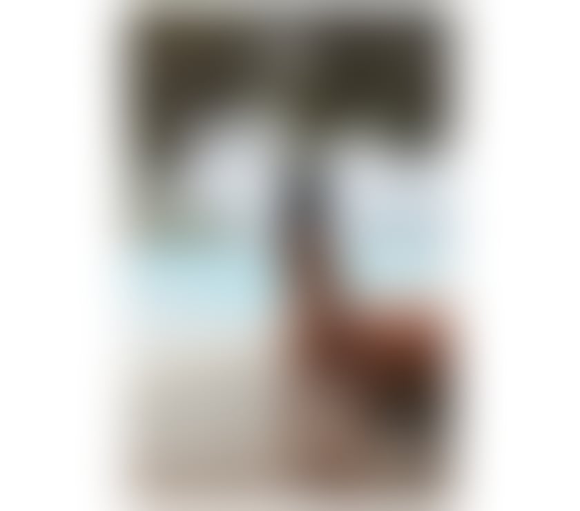 Escorts Bermondsey South East London - Photos for Polly Brazilian party girl ❣️🔥