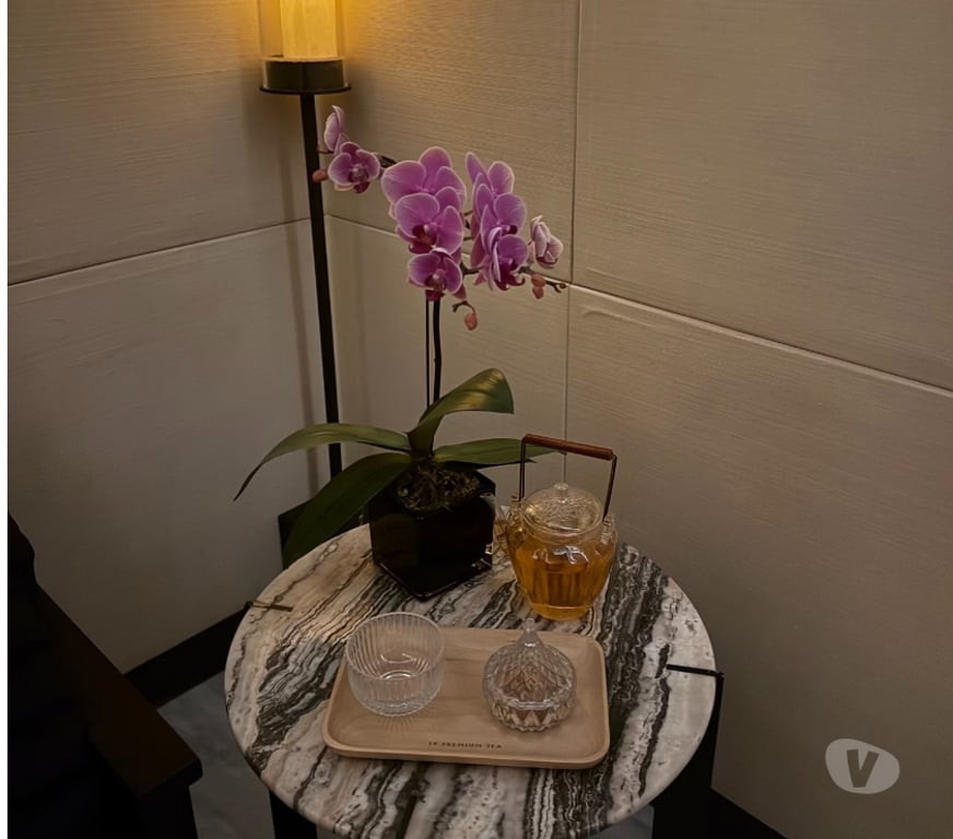 Escorts Bristol Redland - Bristol - Photos for New🌹 Asian VIP Massage 🌹In Bristol