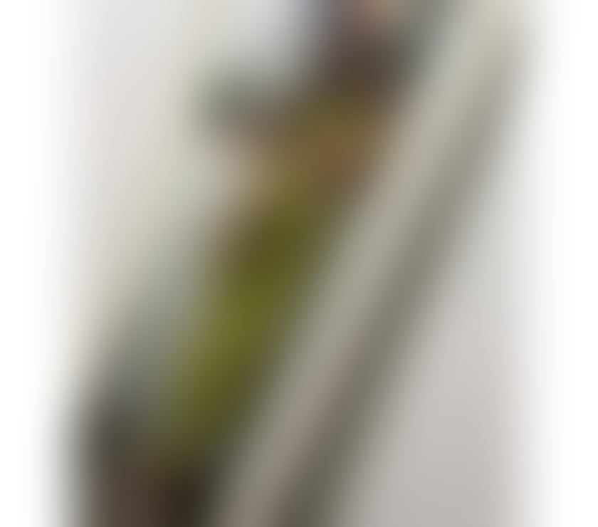 Naughty girl❤️💋Full GFE🥵No rush💋