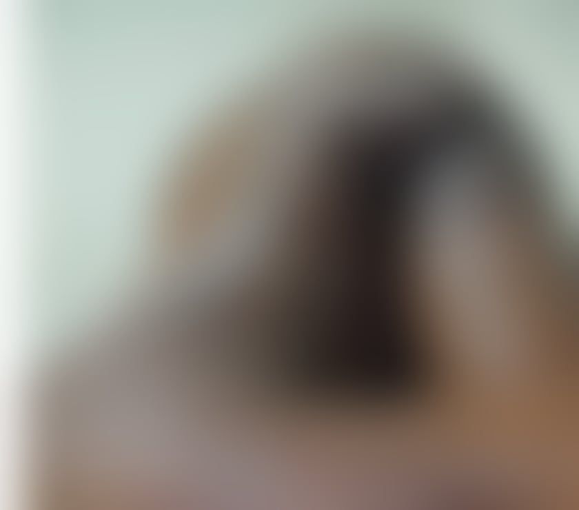 Escorts and Massages Bournemouth Bournemouth, Christchurch and Poole - Photos for Come have some fun in the BCP area