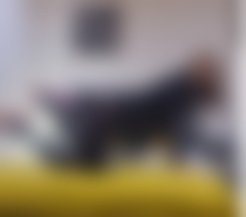 Trans Escorts Dorset Bournemouth, Christchurch and Poole - Photos for Tall naughty Eva💃Turns me on serving str8 guys🍆🤤