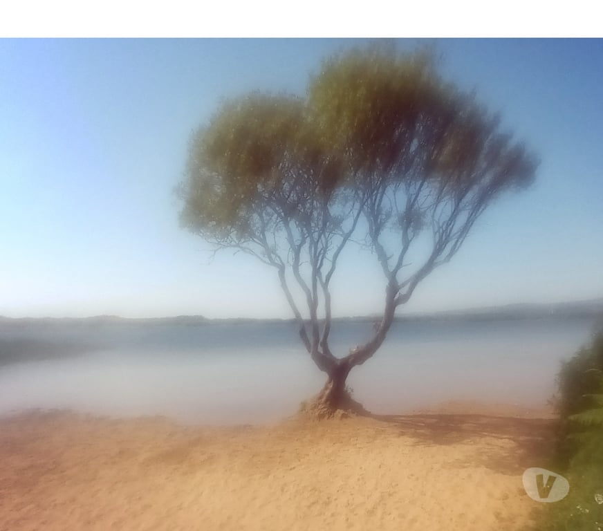 Full body massage Swansea - Wales Swansea City Centre - Swansea - Photos for I offer Masssge for Relaxation