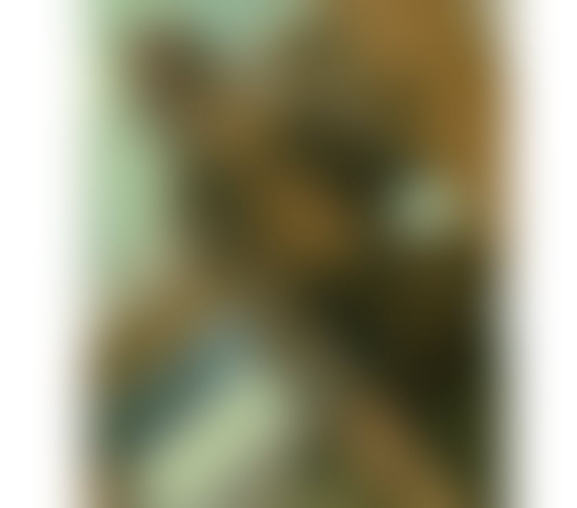 Escorts Glasgow Uddingston - Glasgow - Photos for Sexxi Tiffany;)))