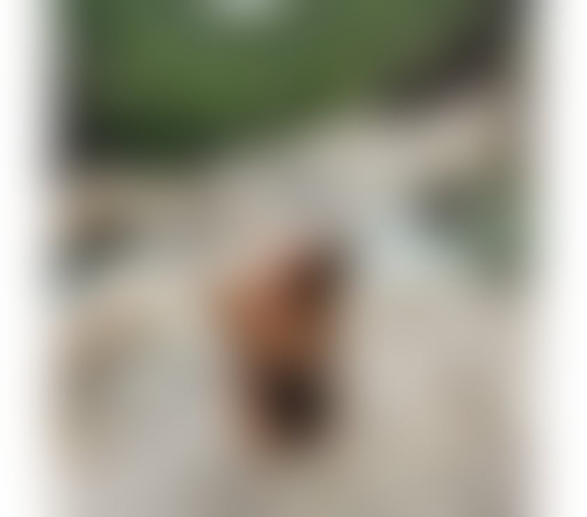 Escorts South West London Sutton - Photos for Hi Guys! Im Caroline New girl in Cheam✨️✨️😘😘