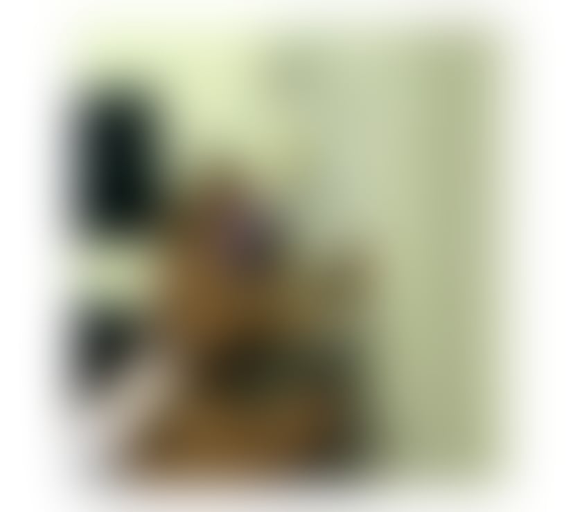 Escorts South Yorkshire Doncaster - Photos for ❤️LET ME BE YOUR SWEET ESCAPE 🌹