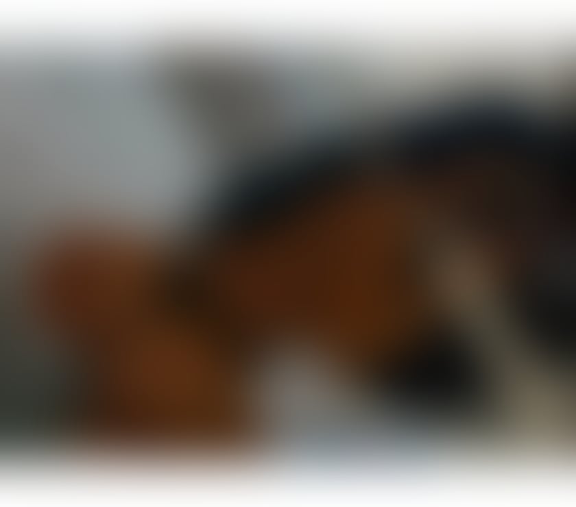 Photos for New party girl in town Only Outcall ! KATE