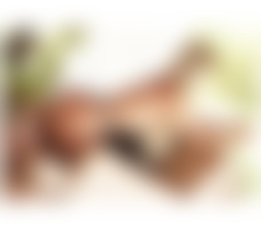 Escorts East Ayrshire Kilmarnock - East Ayrshire - Photos for ❤️LATIN BLONDE BIG BREASTS❤️ OWO 07909891853❤️