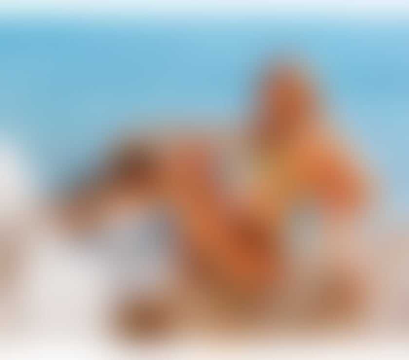 Escorts Cornwall Truro - Cornwall - Photos for MELISSA ANDRADE•PARTY&GFE🔞🍒🇧🇷💦