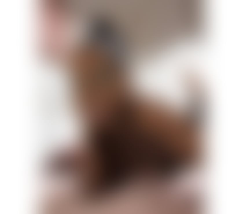 Trans Escorts Central London Marylebone - Central London - Photos for TS MAYA MARQUESA🌹NEW IN CENTRAL LONDON