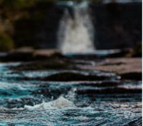 Photographer for hire