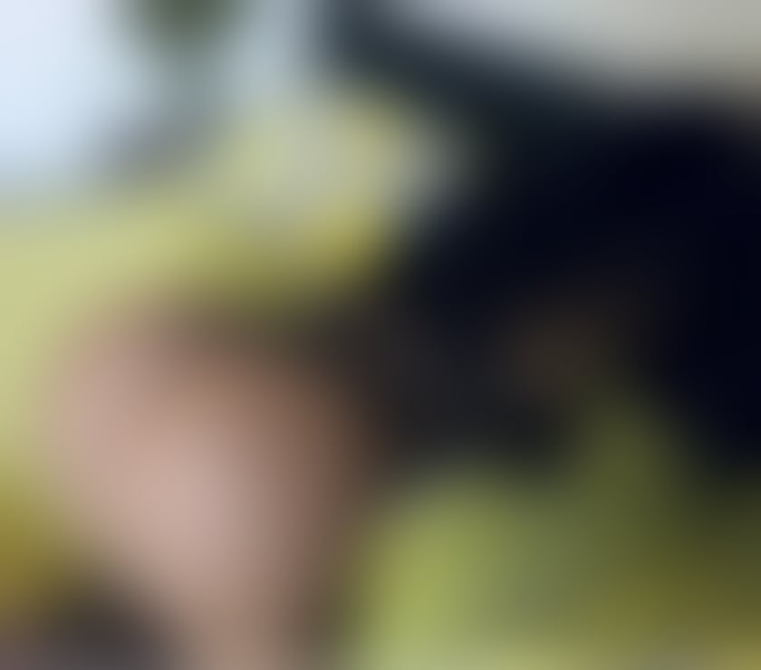 New Escorts & Erotic Massage Hyde Park Leeds - Photos for Hi im. Bella avaiabile now Best owo 🥰