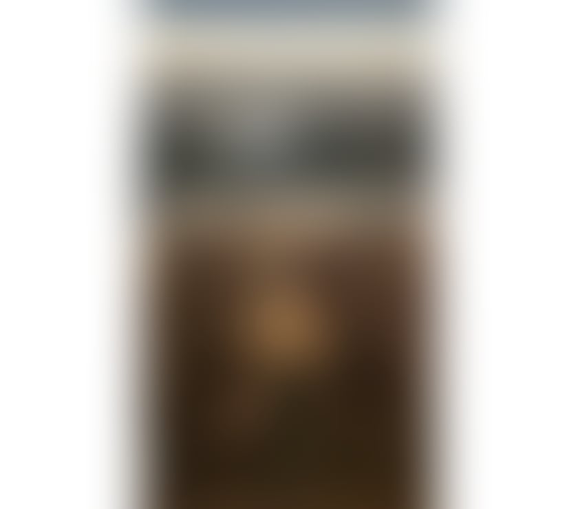 PETTS WOOD PREMIUM - Model Figure Asian Busty Escort