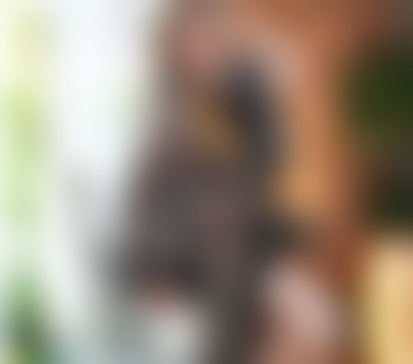 Escorts Bristol Bristol City Centre - Bristol - Photos for Lovely😘 mahi welcome to🏡 my page