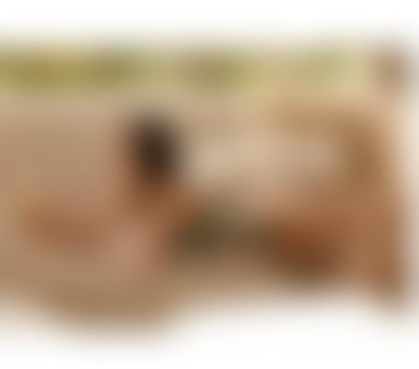 Escorts Cheam Sutton - Photos for Hot Brazilian Bibi Party girl 🥂PIC 100% REAL💋