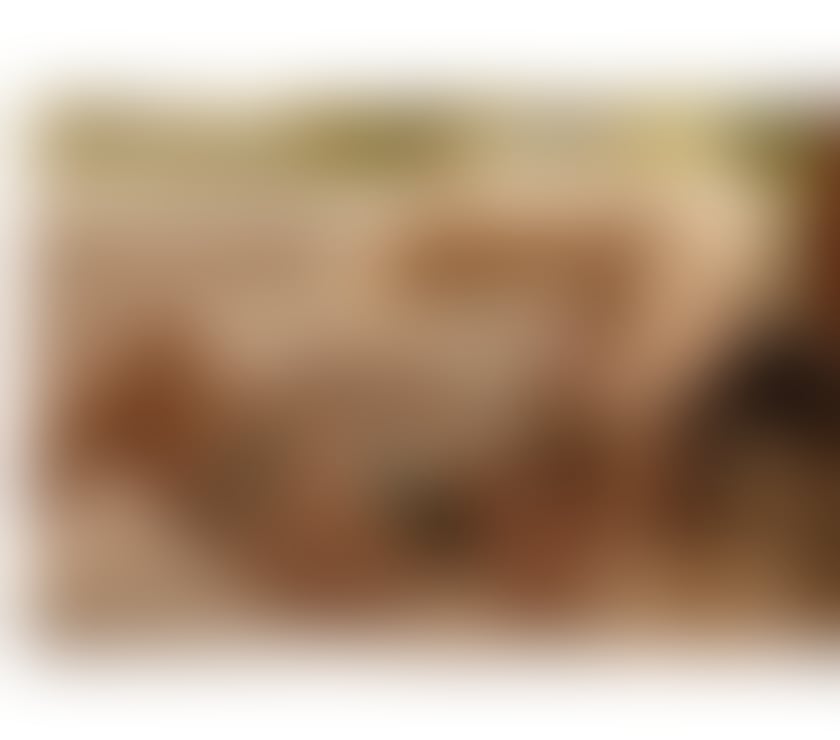 Escorts South West London Sutton - Photos for Hot Brazilian Bibi Party girl 🥂PIC 100% REAL💋