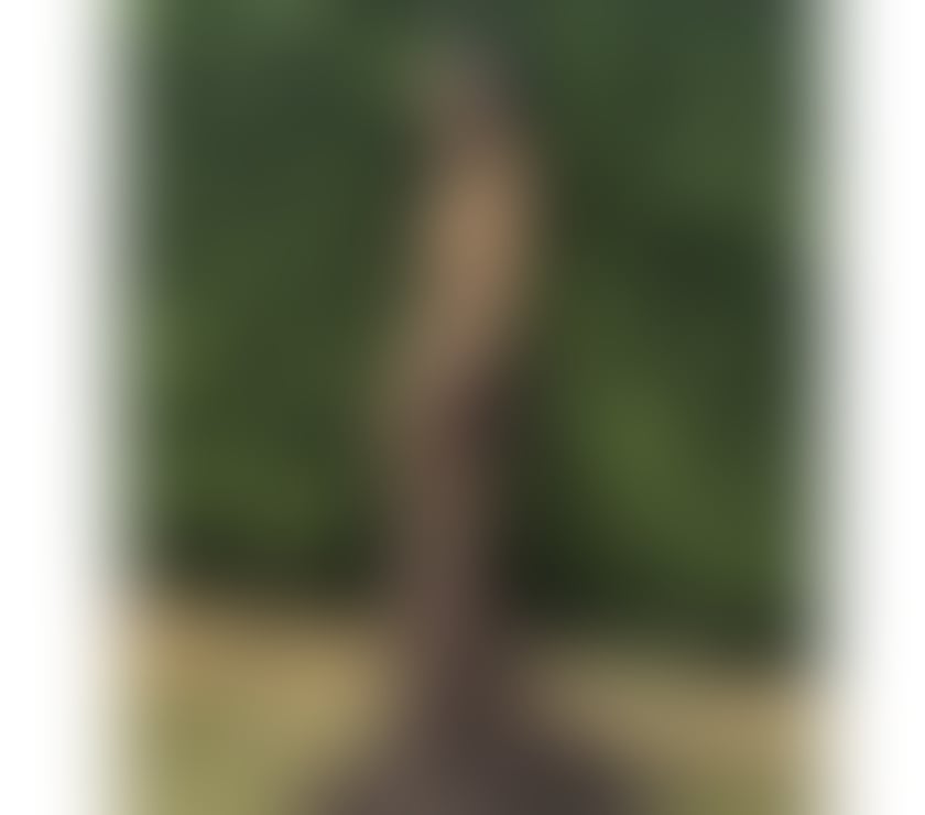 Escorts Kent Medway - Kent - Photos for Hello. Dear I am Amanda Thailand. 😘😍😘