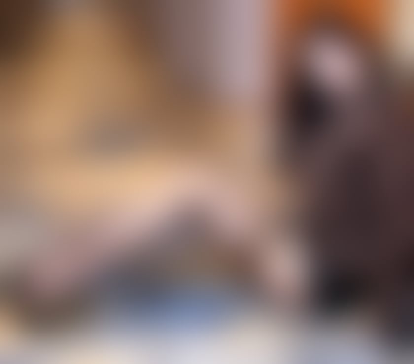 💖 Unmatched Asian Companion Encounter-New in Town 💖