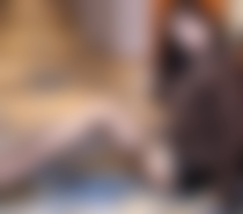 Escorts South East London Bromley - Photos for 💖 Unmatched Asian Companion Encounter-New in Town 💖