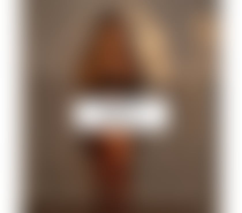 Hi, I'm LORETT 29-year-old Brazilian transsexua LADY BOY