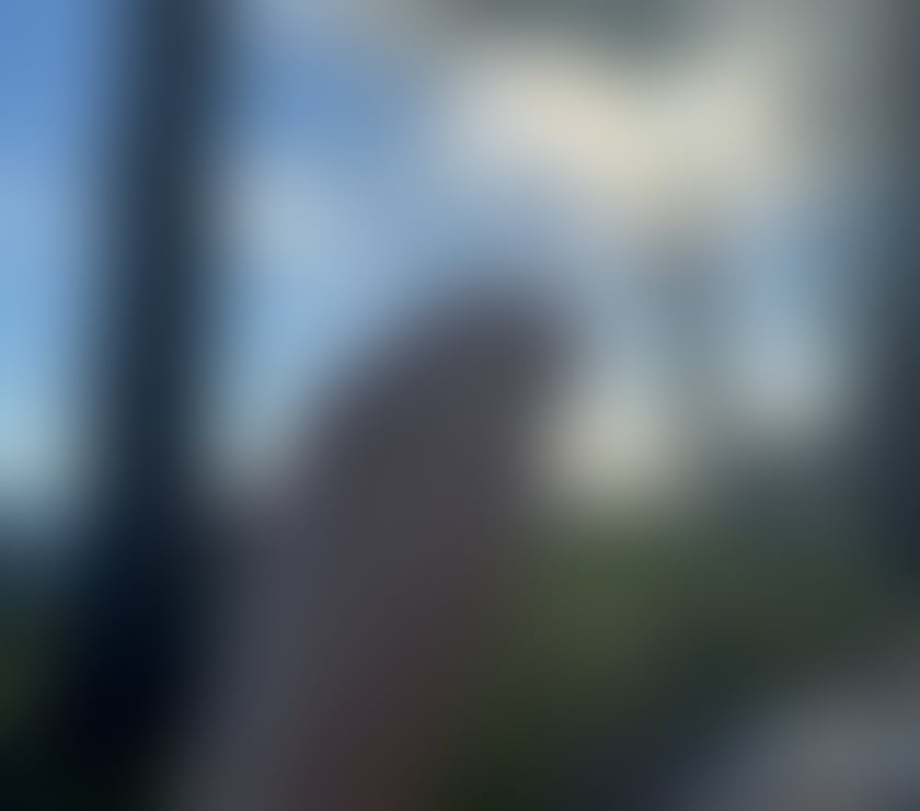 Escorts Staffordshire Lichfield - Photos for Kamila, photos are 100% real 🫦 GFE TOYS