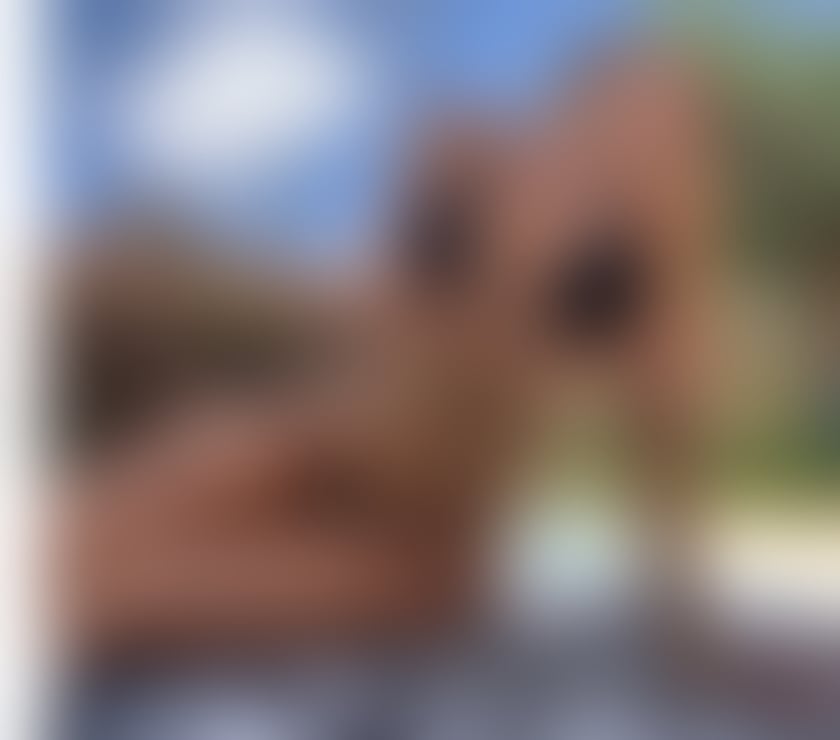 Escorts Gloucestershire Cheltenham - Photos for CAROL 🔥 BEST OWO 💘 GFE