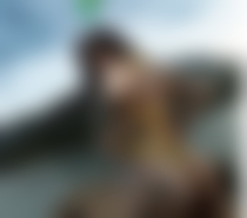 Escorts West Midlands Coventry - Photos for Alice Brazilian