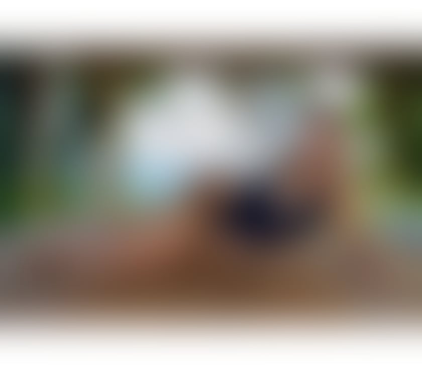 Trans Escorts Lancashire Preston - Photos for 🔥Nikole Paris Hot TRANSEXUAL in town🔥