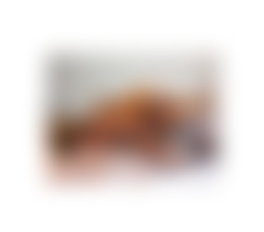 Trans Escorts Dorset Bournemouth, Christchurch and Poole - Photos for 🇧🇷TS BLACK MODEL🇧🇷